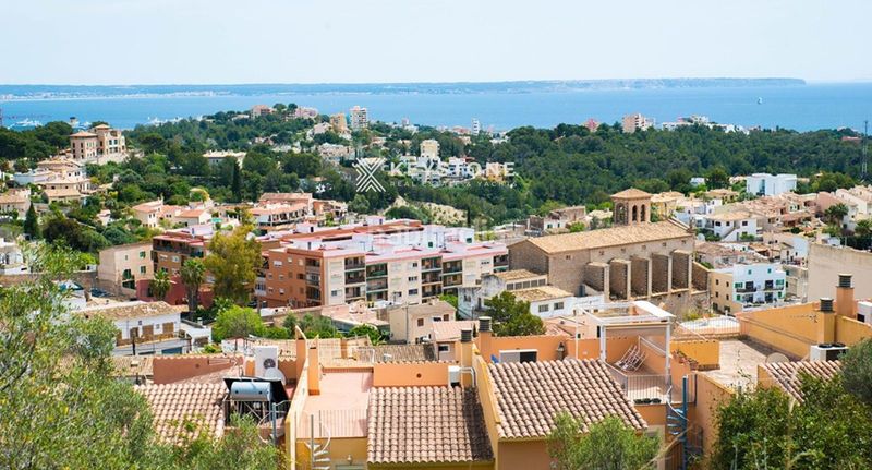 Foto 0d603b95-9177-4e6a-9b5b-f58064fb8ba6. Finca rústica a Gènova Palma de Mallorca