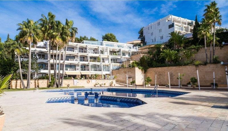 Foto dfa2509c-94e3-49cf-8556-bf0facafc373. Àtic amb piscina a Portals Nous Calvià