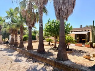 Masia  De alicantí. Finca escriturada con estudio independiente, piscina y gran pote