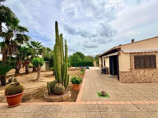 Mas  De alicantí. Finca escriturada y registrada con estudio independiente, piscin