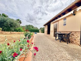 Bauernhof  De alicantí. Finca escriturada y registrada con estudio independiente, piscin