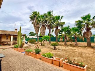 Masía  De alicantí. Finca escriturada y registrada con estudio independiente, piscin