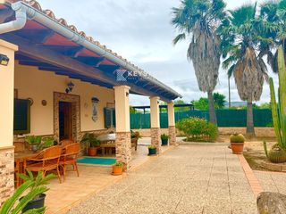 Masia  De alicantí. Finca escriturada y registrada con estudio independiente, piscin