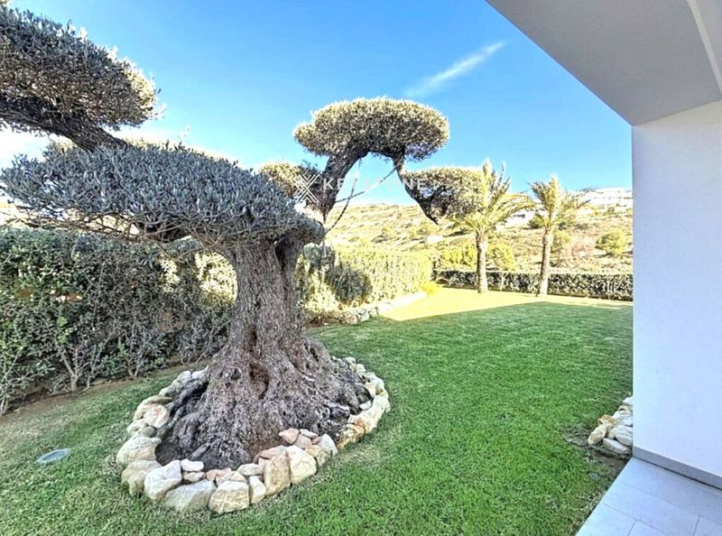 Foto 59ba1064-b952-4958-9e79-c4f064389508. Casa amb calefacció piscina a Casco Antiguo - Sta. Cruz - Ayuntamiento Alicante