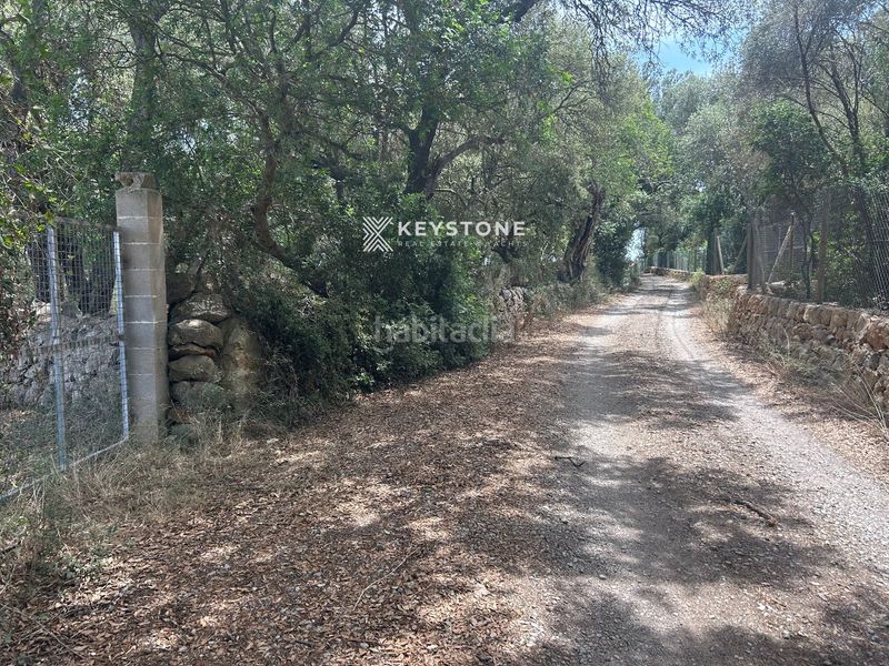 Foto 0ec08ea6-4314-46f5-a49d-4502e1ed6301. Terreny residencial a Búger