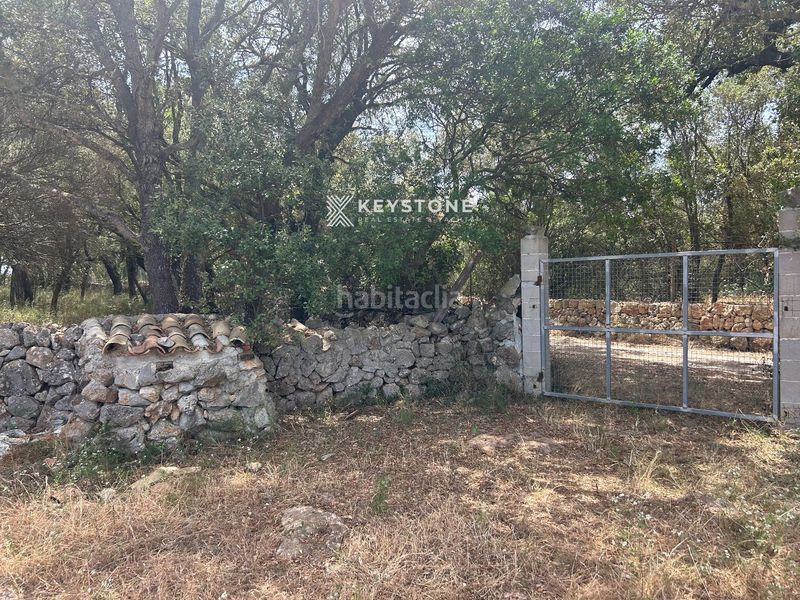 Foto 338027a0-175b-4b16-98e3-16f373d4522a. Terreny residencial a Búger