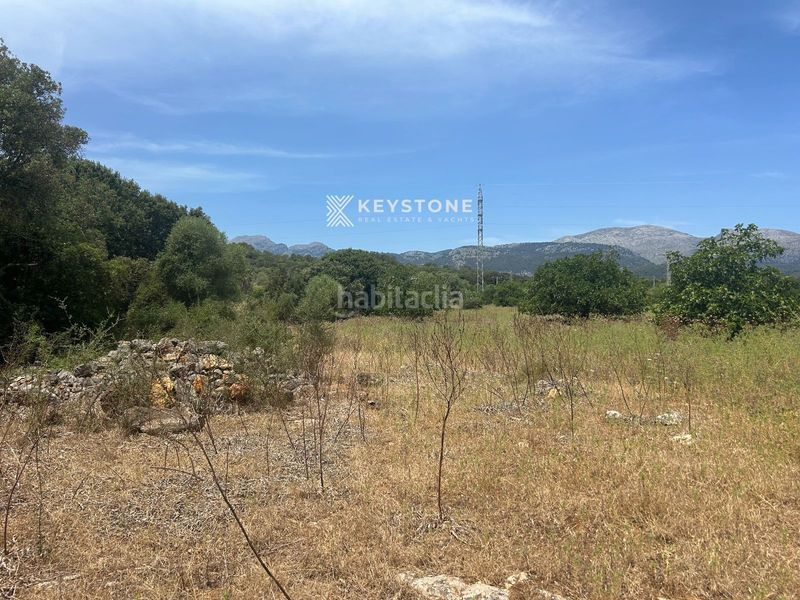 Foto 4c33ad35-d16a-41de-94ac-c34447c940d7. Terreny residencial a Búger