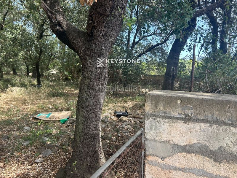 Foto 68ee0a73-63cf-423f-9790-773d1d1f6c8d. Terreny residencial a Búger