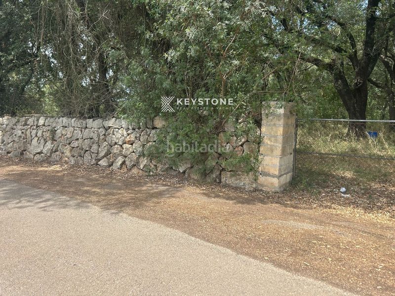 Foto e4e2f097-708d-46f0-85bf-cfc828443728. Terreny residencial a Búger