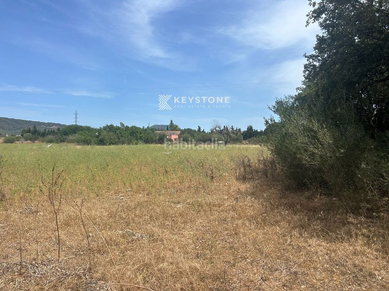 Foto ea2315b3-ccd2-4c00-ab9a-cc3c86c9702d. Terreny residencial a Búger