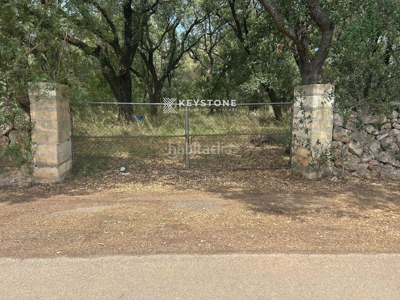 Foto fab1d1b9-3304-423d-b404-5dd61bfede2e. Terreny residencial a Búger