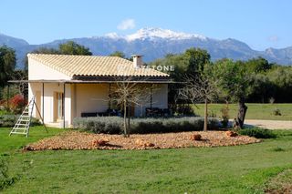 Lloguer Àtic  Camino biniagual, 16. Keystone alquila  casita en binissalem  2.000