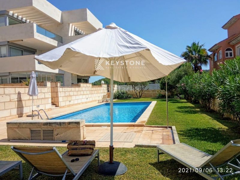 Foto 66eb56ac-4c8a-4ae2-b8b1-fd80026488f1. Affitto piccolo appartamento con piscina in Es Camp de Mar Andratx