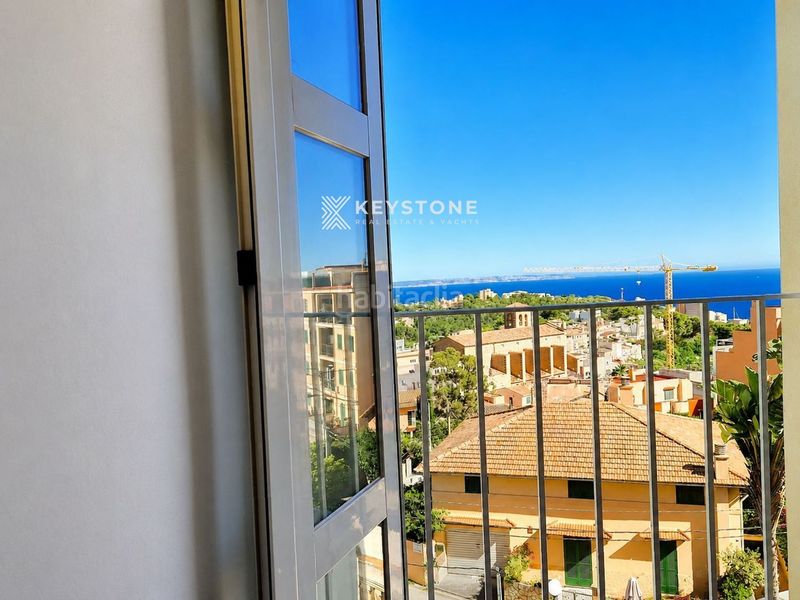 Foto b965e1a7-d153-486e-a491-7f8099ff9af4. Casa adosada chalet adosado con piscina y jardín en génova, mallorca en Palma de Mallorca