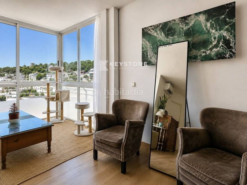 Foto 43644a41-c006-4e2a-913d-6c314330bfee. Pis a El Terreno Palma de Mallorca