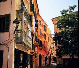 Lloguer Pis  Calle de sant feliu, 7. Piso en alquiler en la llotja, palma de mallorca  2 habitaciones