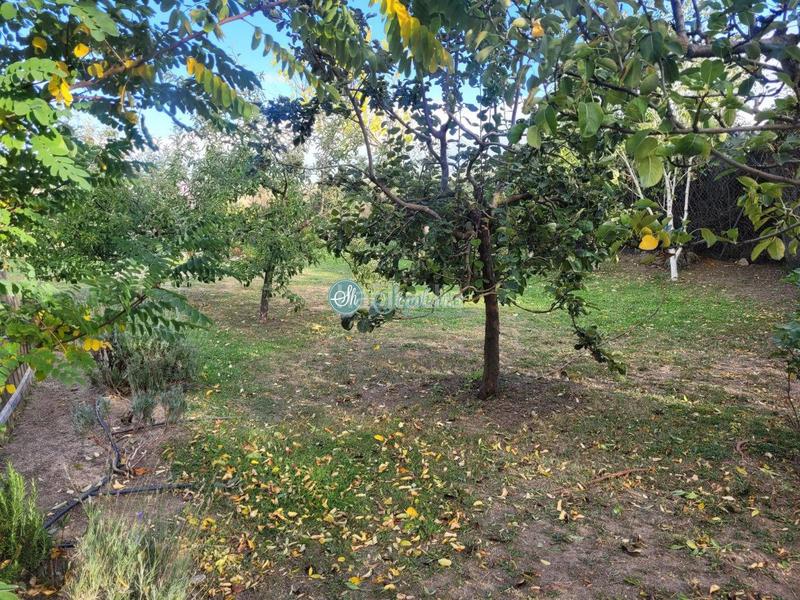 Foto d6dfcf74-a04d-44f4-a0c7-4ceebf82cb98. Maison avec chauffage parking piscine dans Espirdo