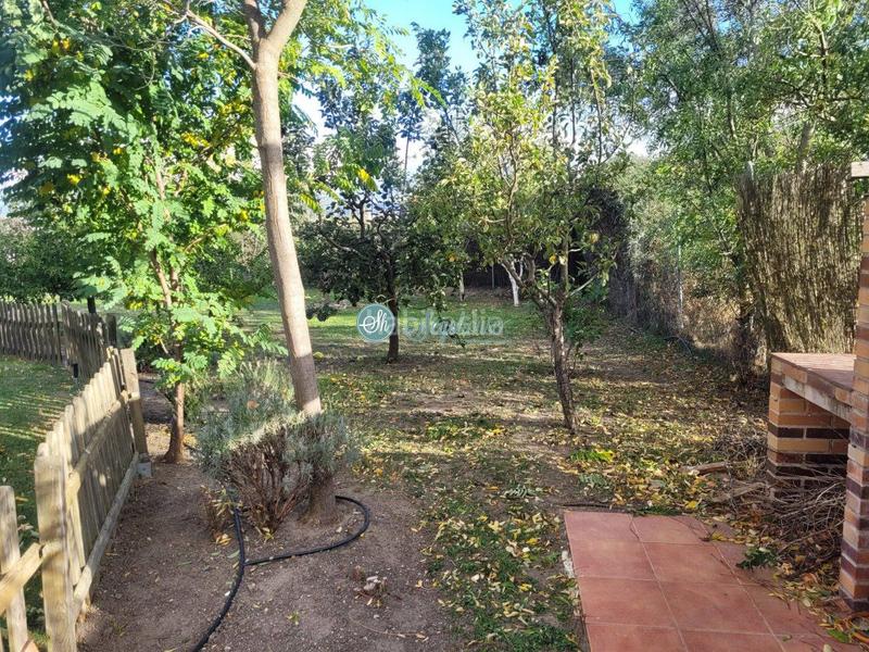 Foto f5f572b1-b45a-49ca-af7b-16aa5a375955. Maison avec chauffage parking piscine dans Espirdo