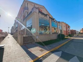 Business premise in Lastrilla (La)