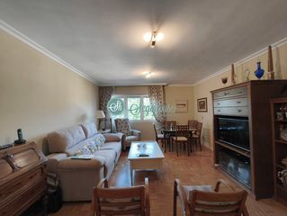 Appartamento in Ezequiel González - Conde de Sepúlveda. Piso en venta en conde sepúlveda, 4 dormitorios.
