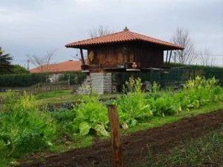 Residential Plot in La Pola Siero. Dos parcelas