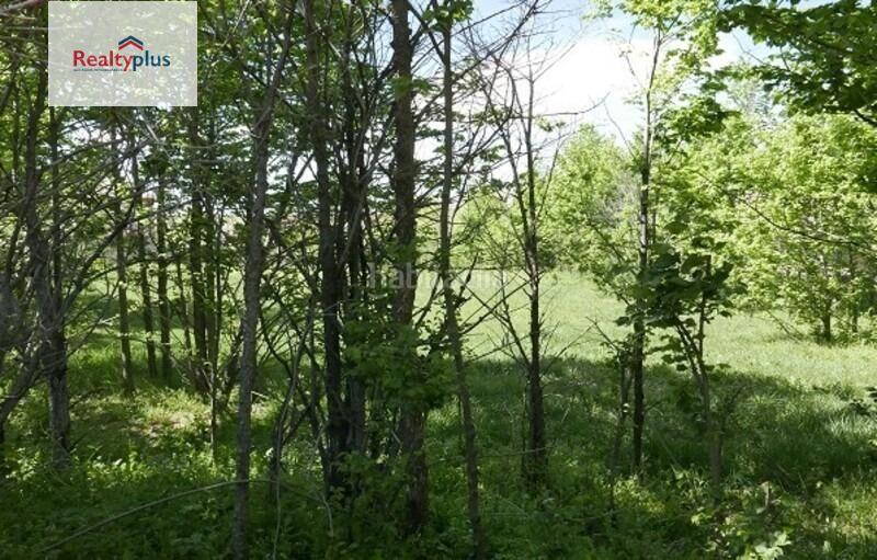 Foto 483b0027-fab8-46ec-a055-ef0df4674c96. Terrain résidentiel dans El Cerro - Ctra. De San Rafael Segovia