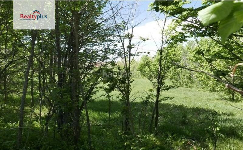 Foto bc5ca6ea-8b6e-4897-8ec0-3bcc693632f7. Terrain résidentiel dans El Cerro - Ctra. De San Rafael Segovia