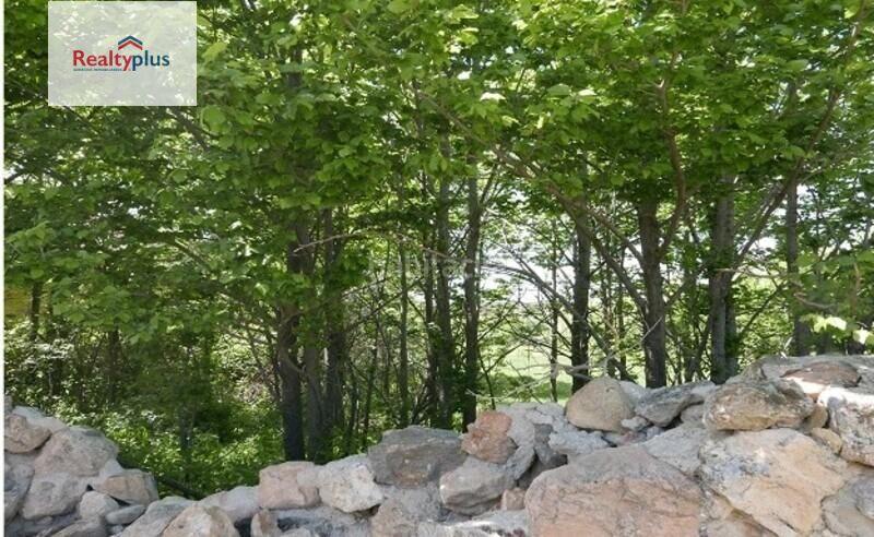 Foto e2438da5-47af-488f-96b5-5f3c39090f00. Terrain résidentiel dans El Cerro - Ctra. De San Rafael Segovia