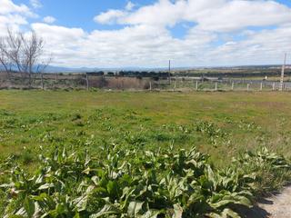 Terreny residencial a Torrecaballeros. Ju. en torrecaballeros podrás tener tu vivienda en plena natural