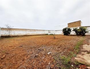 Terreny residencial a Almonte. Parc.urbana en venta en almonte.