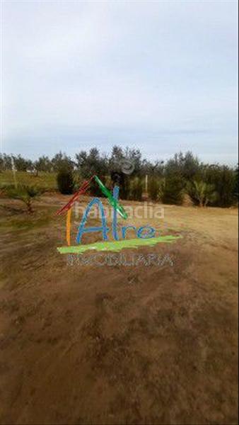Foto 42cc6784-8bc0-406a-8459-e58536737065. Casale in Almonte Almonte