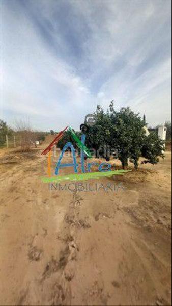 Foto ecc6995c-e1ca-4e34-8c87-b4992f69b1bd. Casale in Almonte Almonte