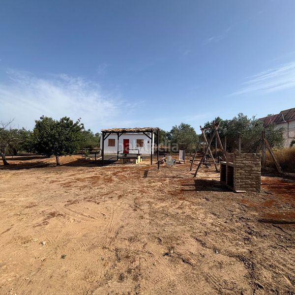 Foto f0abc85e-1297-44e6-9086-061f08bf8dbe. Masia a Almonte Almonte