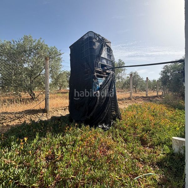 Foto f301cd94-fa40-4789-ac8a-c8644d560605. Masia a Almonte Almonte