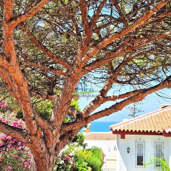 Foto 244c2db1-4b4e-4317-84b1-b2169f25a11e. Chalet avec chauffage parking dans Centro - Torre de la Higuera Almonte