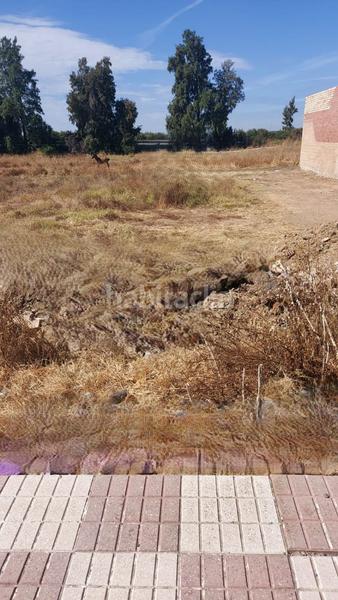 Foto 353184f4-1bf9-4431-8321-4a1dbb2a197f. Terrain résidentiel dans Almonte Almonte