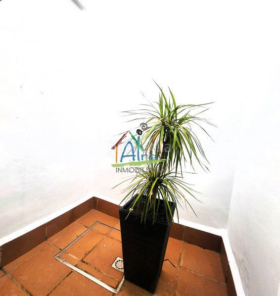 Foto 43085305-4a2d-40ba-ae17-4d919d7a28ac. Casa adossada amb calefacció piscina a Caño Guerrero Almonte