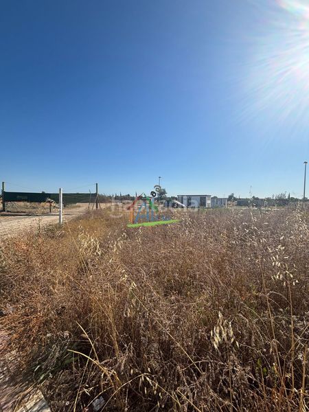 Foto 4969f978-1745-4bcc-bfe5-1b1467464319. Terreny residencial a Almonte Almonte