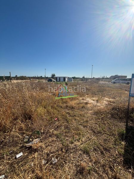 Foto 67a726c5-a21b-4190-8a90-cf85df99a61d. Terreny residencial a Almonte Almonte