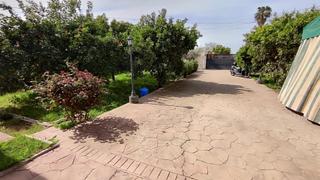 Casa a Alcolea. Parcela en las quemadillas