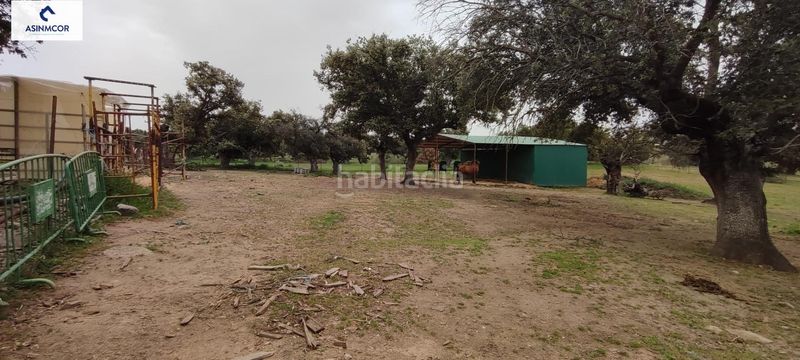 Foto 2c01f4b7-9f2f-4710-9d63-7960938641a7. Terreny residencial a Viso (El)