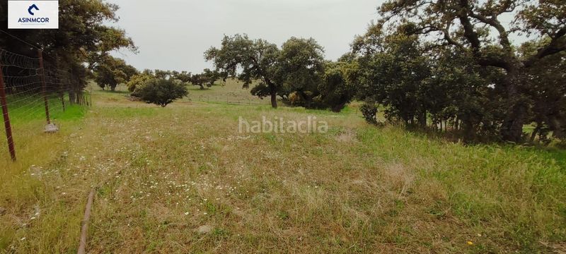 Foto 47263760-a4f9-4aa3-92b5-678ee416ae69. Terreny residencial a Viso (El)