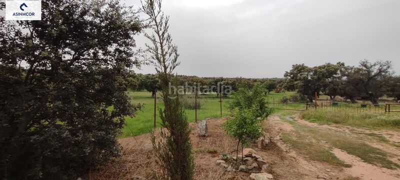 Foto 59084da1-ff30-427e-8548-4a0857a0ba69. Terreny residencial a Viso (El)