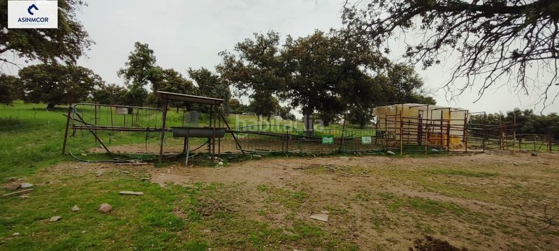 Foto 627197ca-d109-4a14-81a3-4d5acb79ea9b. Terreny residencial a Viso (El)