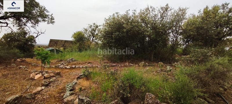 Foto 6b03b07f-da3b-4ad1-aea3-e9e2628744ae. Terreny residencial a Viso (El)