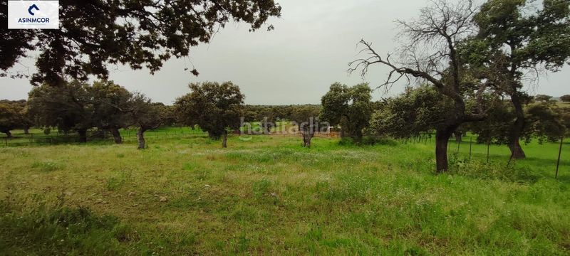Foto 794a983b-0e86-4caa-b009-1594585fd0d1. Terreny residencial a Viso (El)