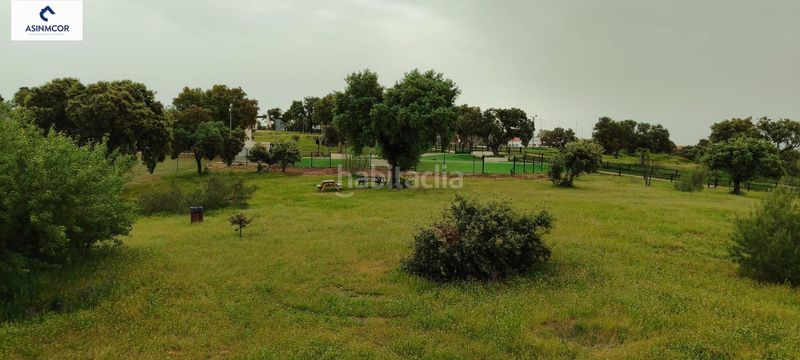 Foto 8d518b9e-0c08-48f0-aafc-3dbb5bee1d2b. Terreny residencial a Viso (El)