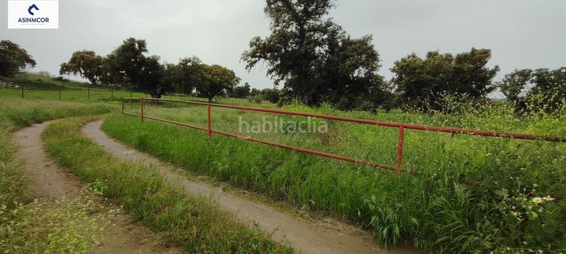 Foto 8db08c4c-293e-457b-b7d2-3b943982d433. Terreny residencial a Viso (El)
