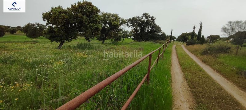 Foto 9668e26f-8442-4053-938f-a3cfe5a83d86. Terreny residencial a Viso (El)