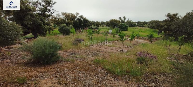 Foto 978df1ce-0bb2-448e-84a3-996d6eaf3e08. Terreny residencial a Viso (El)